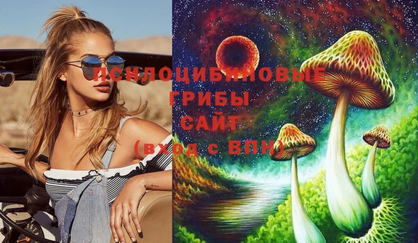 гашик Белокуриха